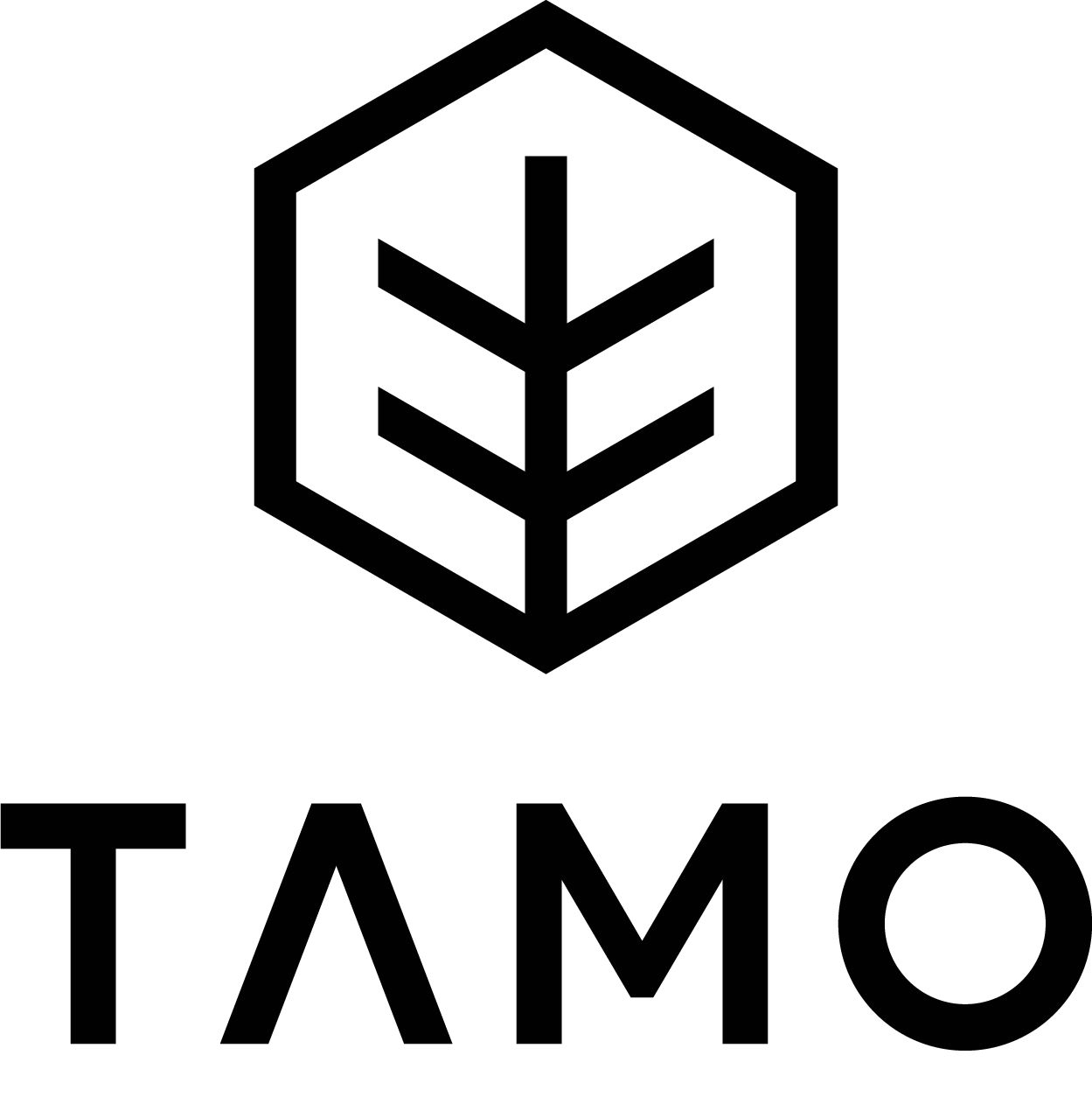 Logotipo de Tamo